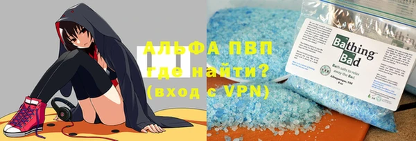 индика Богородск