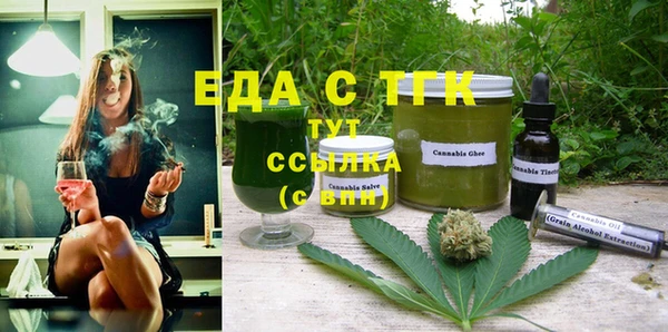 индика Богородск