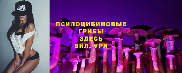 индика Богородск