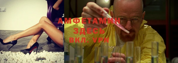 индика Богородск