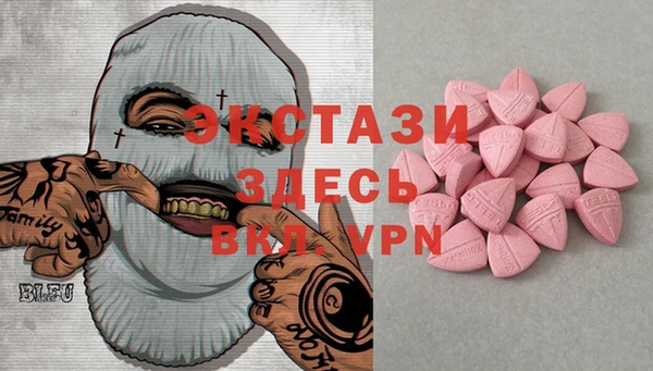 индика Богородск