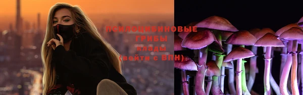 хмурый Белокуриха