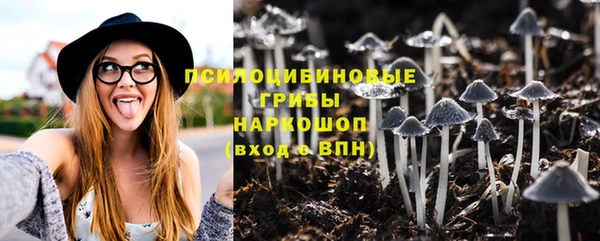 индика Богородск