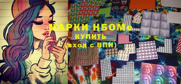 индика Богородск