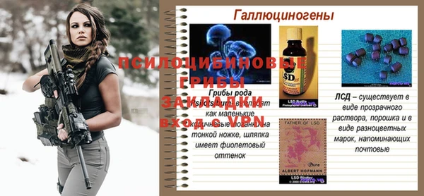 индика Богородск
