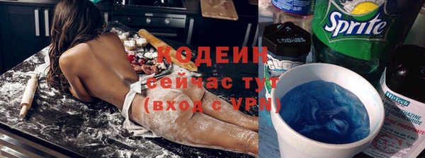 индика Богородск