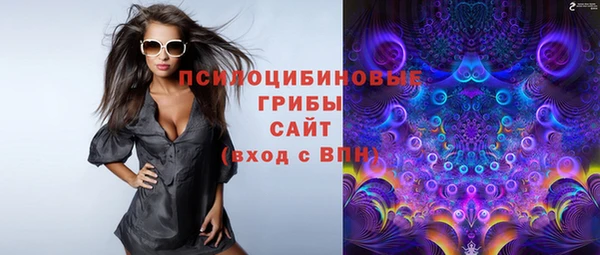 амф Богородицк