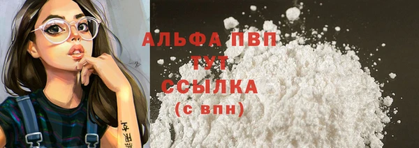 ешки Богданович