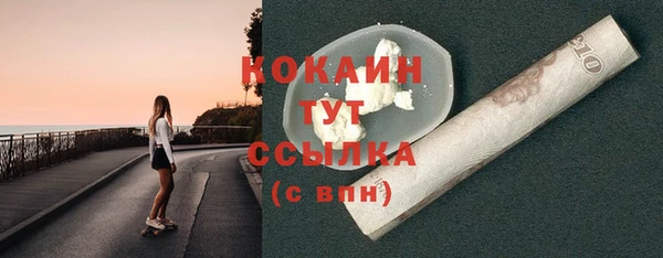индика Богородск