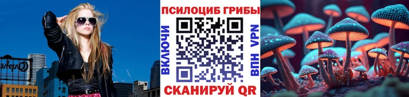 Псилоцибиновые грибы Cubensis  Ростов-на-Дону 