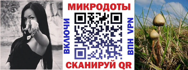 Галлюциногенные грибы Psilocybe Ростов-на-Дону